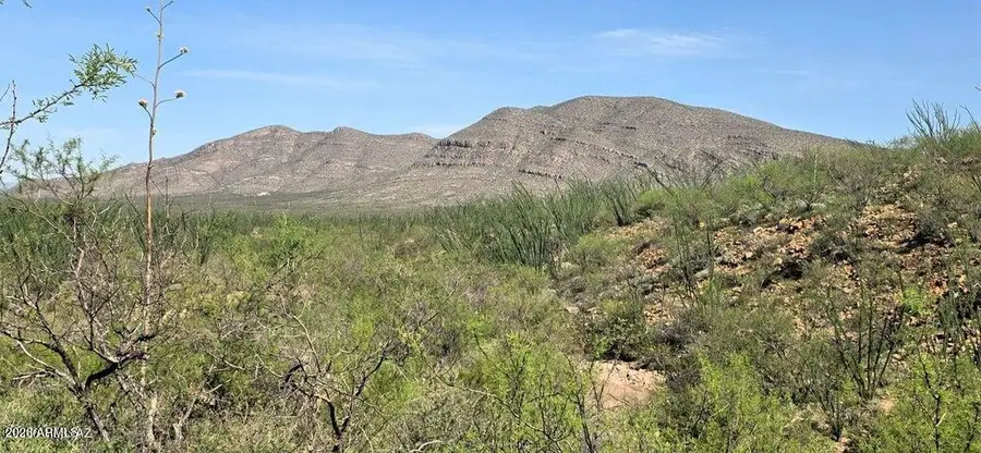 TBD E Windmill Road, Tombstone, AZ 85638 - #2