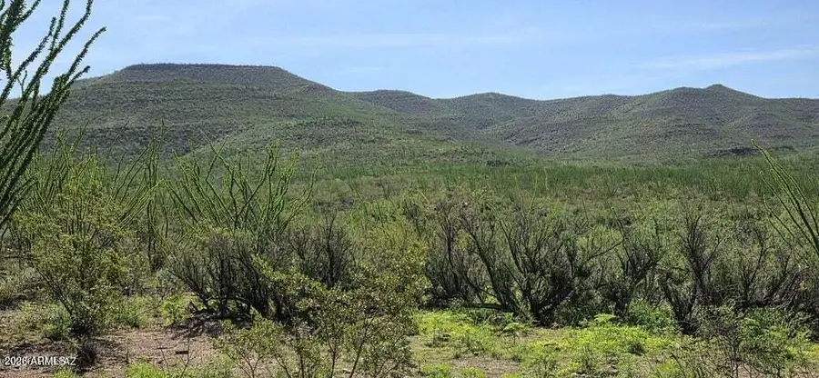TBD E Windmill Road, Tombstone, AZ 85638 - #3