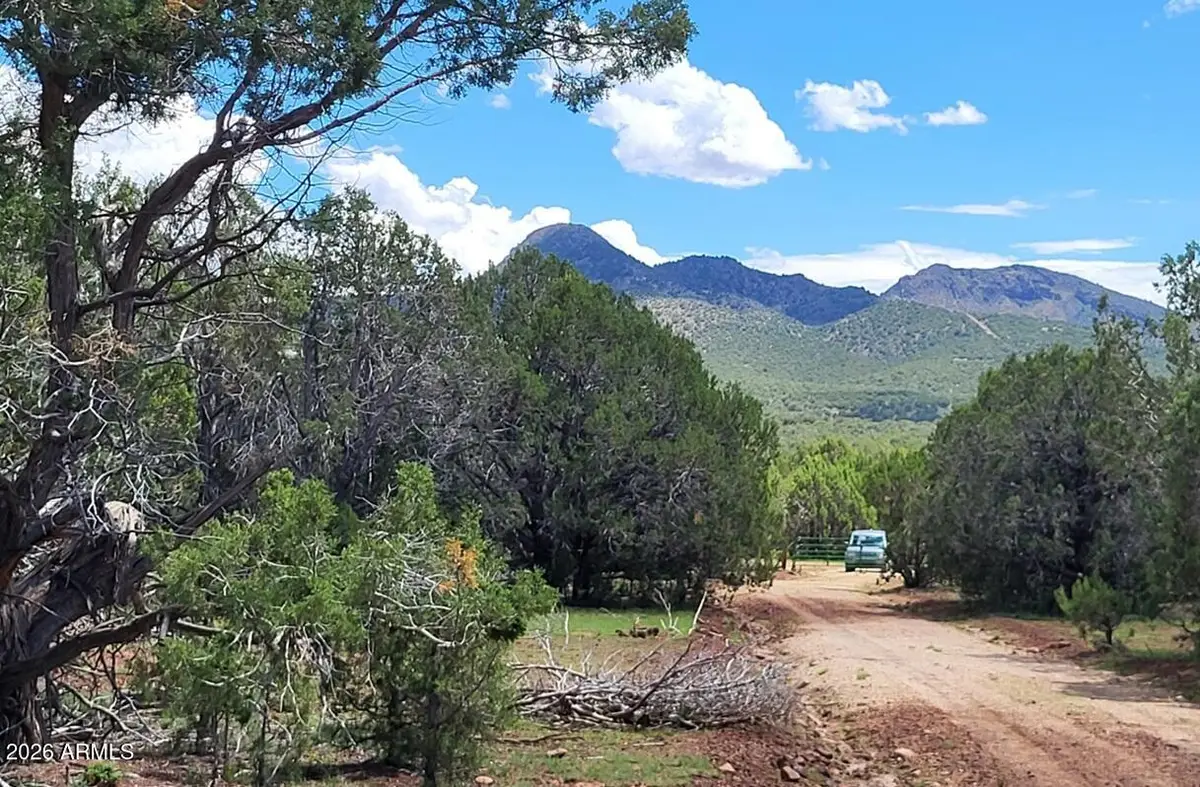 13664 Round Mountain Expressway, Williams, AZ 86046 - #1