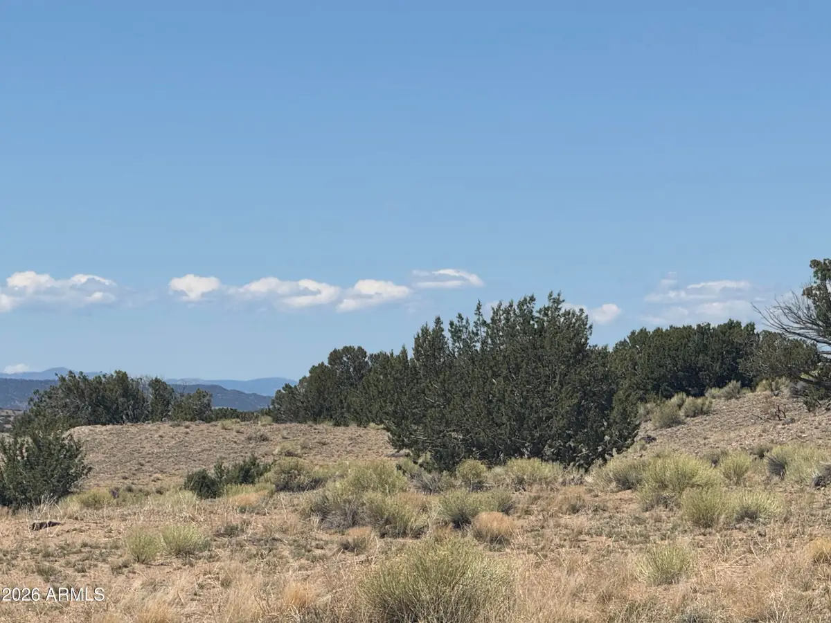 Lot 753 Woodland Valley Ranch -- #753, Saint Johns, AZ 85936 - #1