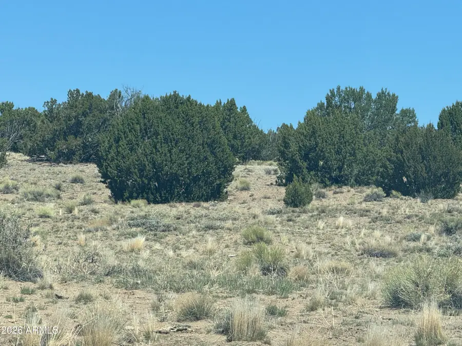 Lot 753 Woodland Valley Ranch -- #753, Saint Johns, AZ 85936 - #2