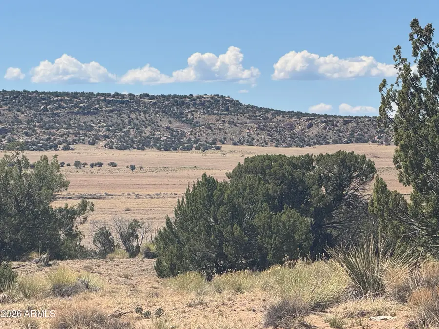 Lot 753 Woodland Valley Ranch -- #753, Saint Johns, AZ 85936 - #3