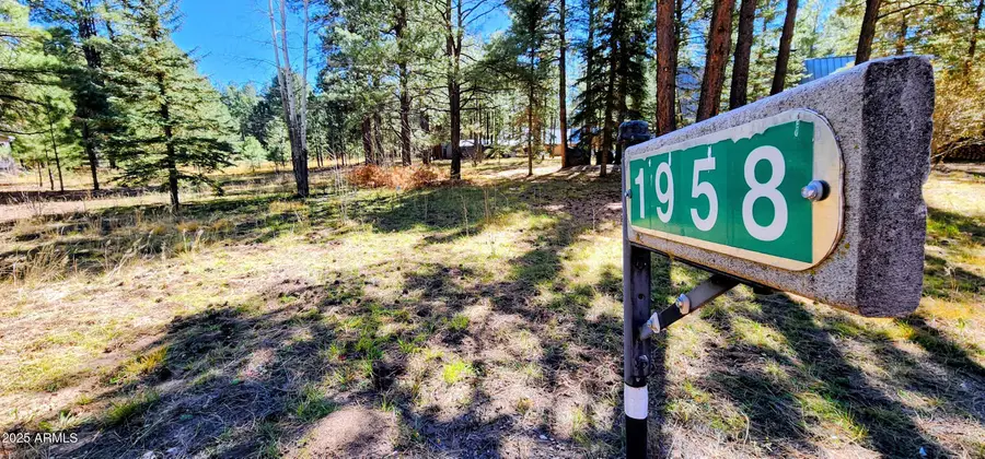 1958 Ferret Circle #260, Forest Lakes, AZ 85931 - #3