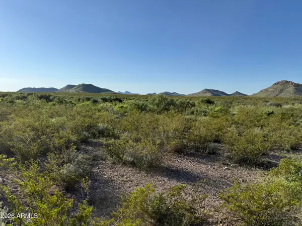 0 Valley Springs #64, Douglas, AZ 85067