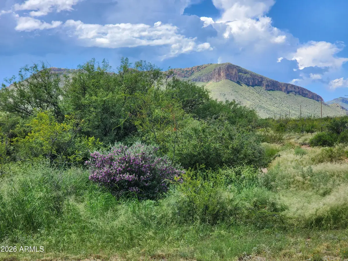 lot 5 E Highway 82 -- #2, Huachuca City, AZ 85616 - #1