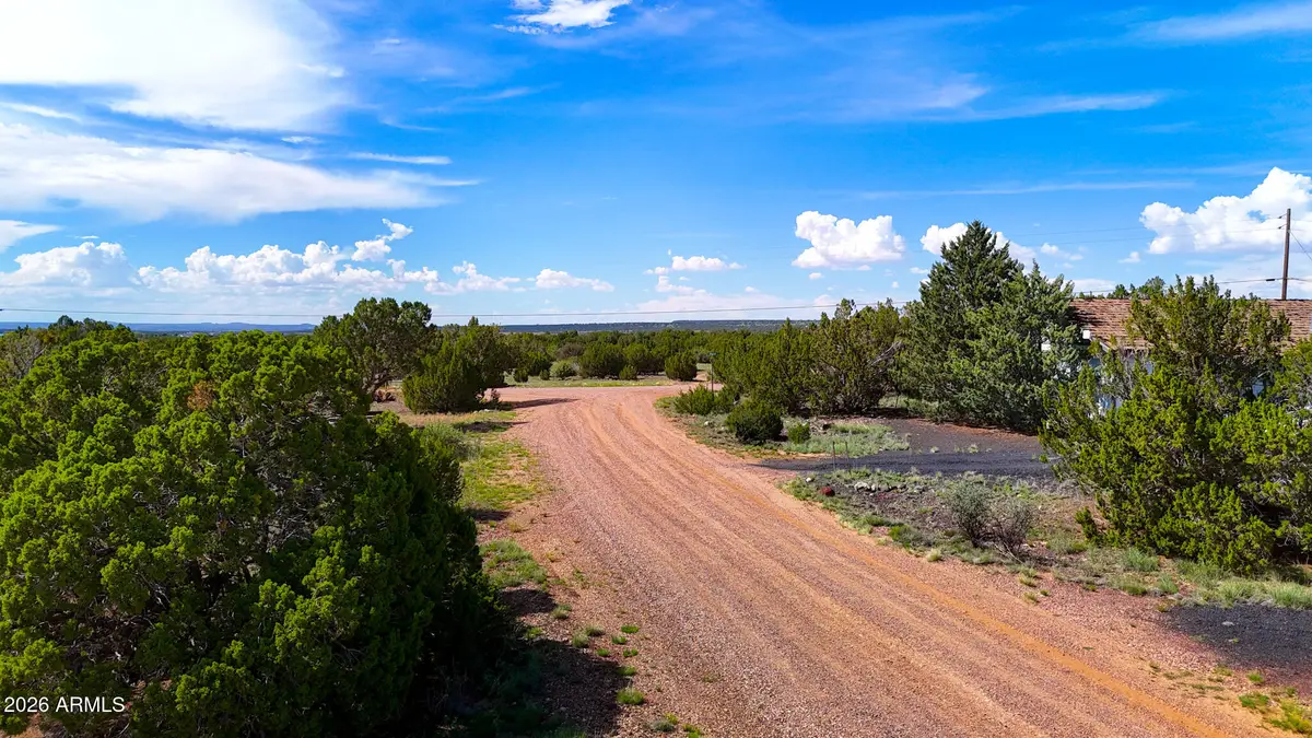 8543 & 8545 Loveridge Drive, Show Low, AZ 85901 - #1