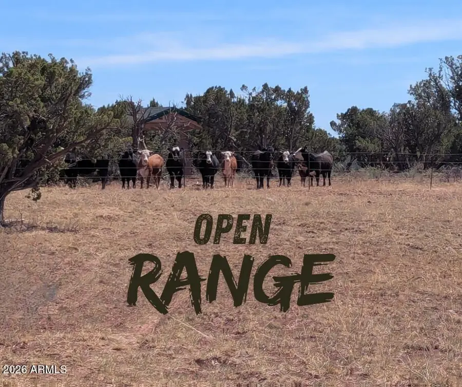 4 parcels N Shady Oak 404-69-005 Road E #D, Show Low, AZ 85901 - #2
