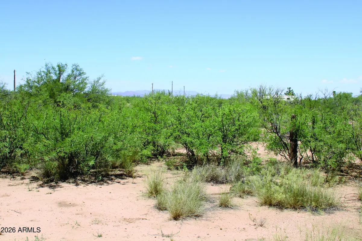 5 Acres E Papago Way #310, Cochise, AZ 85606 - #1