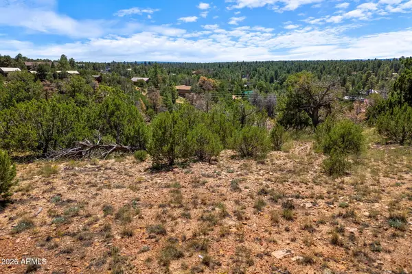 3620 Zane Grey Trail #42, Overgaard, AZ 85933