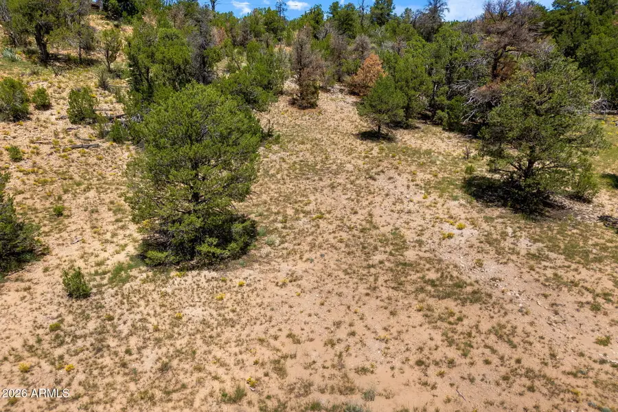 3620 Zane Grey Trail #42, Overgaard, AZ 85933 - #2