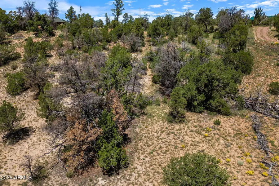 3620 Zane Grey Trail #42, Overgaard, AZ 85933 - #3