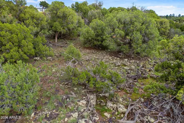 8281 &8283 Ridge Drive #11, Show Low, AZ 85901