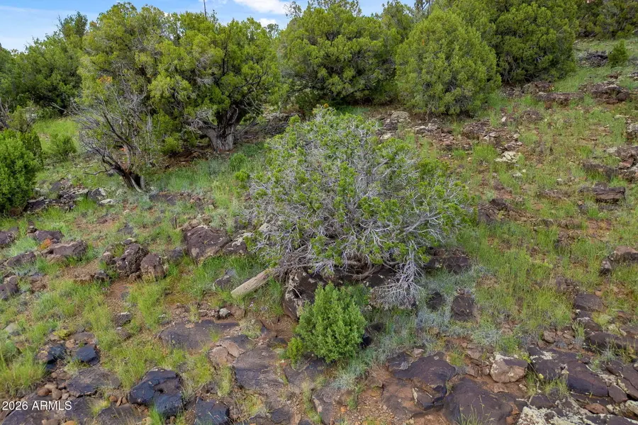 8281 &8283 Ridge Drive #11, Show Low, AZ 85901 - #2