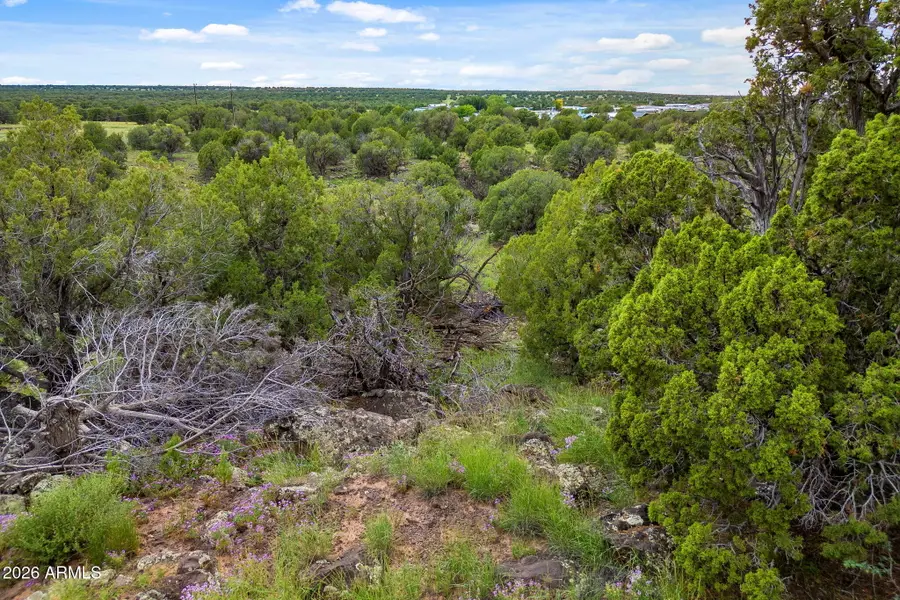 8281 &8283 Ridge Drive #11, Show Low, AZ 85901 - #3
