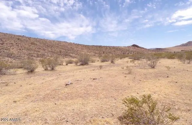 0 Unassigned -- #55 & 58, Dolan Springs, AZ 86441 - #1