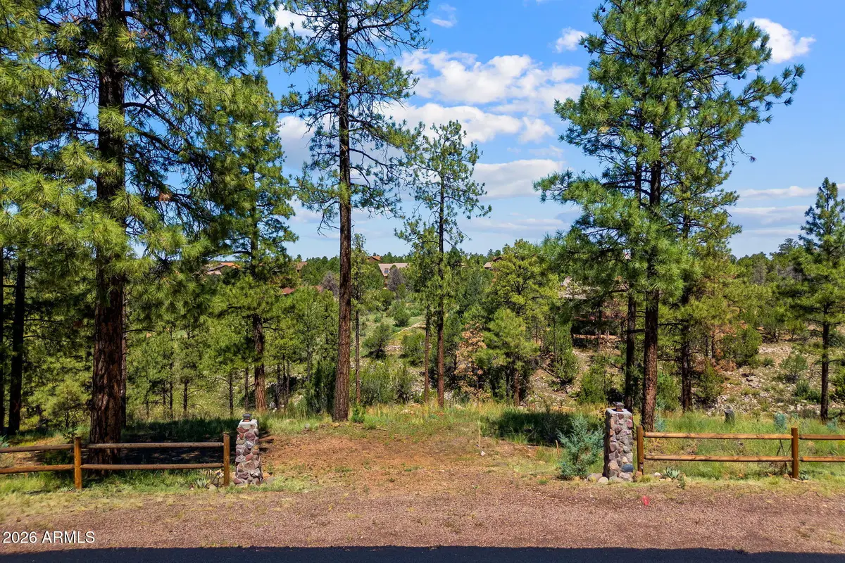 2294 Constellation Lane #94, Overgaard, AZ 85933 - #1