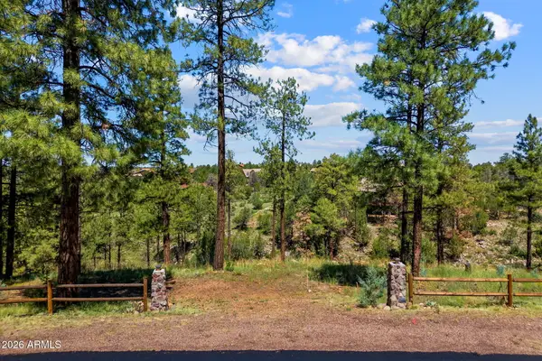 2294 Constellation Lane #94, Overgaard, AZ 85933