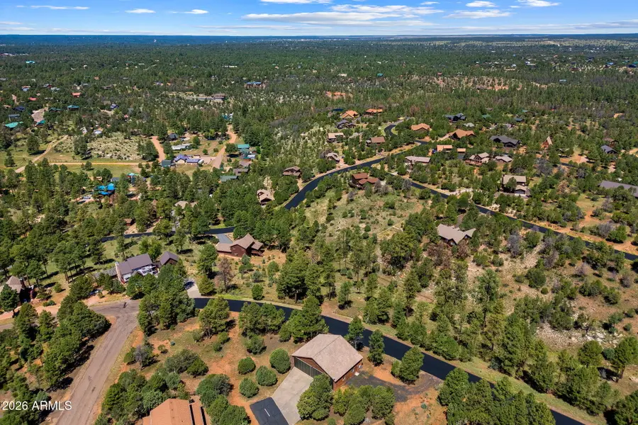 2294 Constellation Lane #94, Overgaard, AZ 85933 - #3
