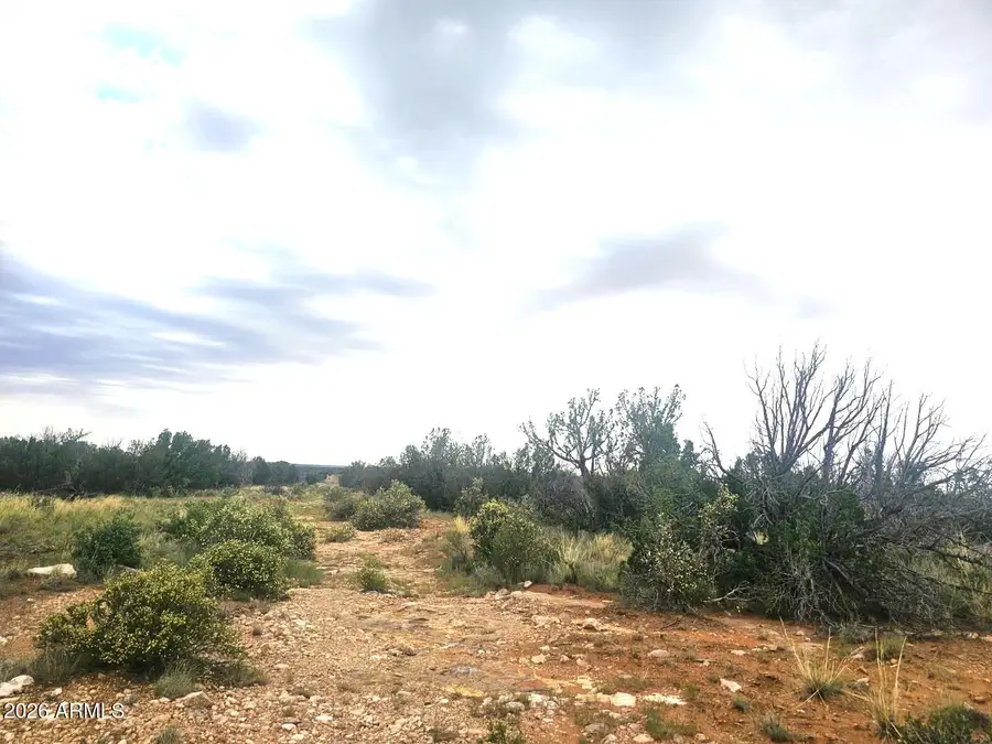 5075 Sidlyn Road, Heber, AZ 85928 - #2