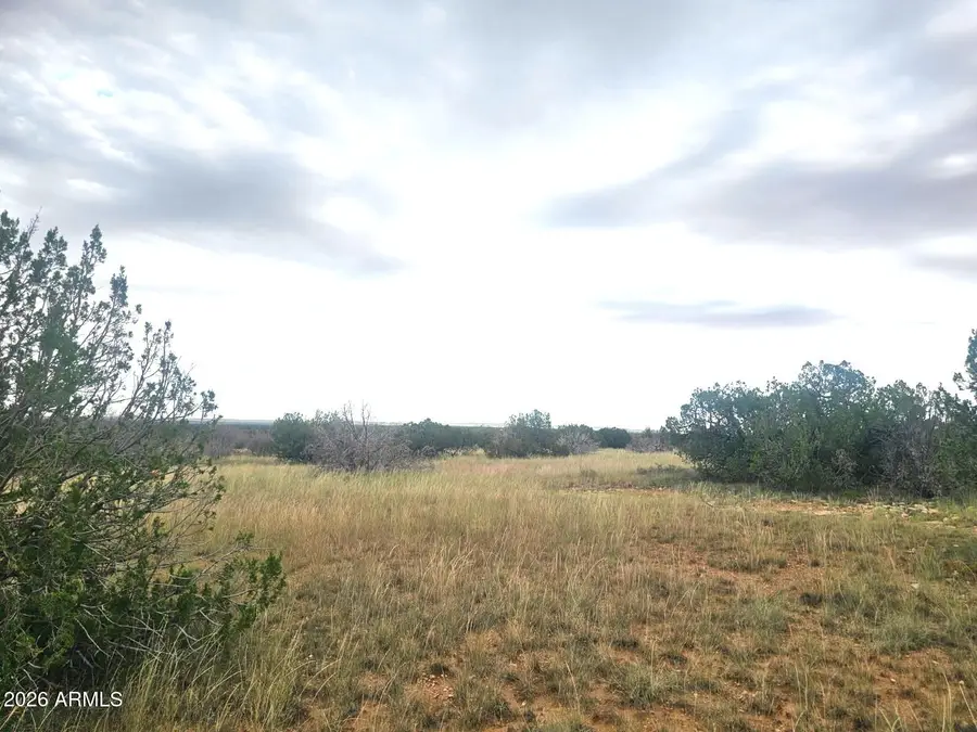 5075 Sidlyn Road, Heber, AZ 85928 - #3