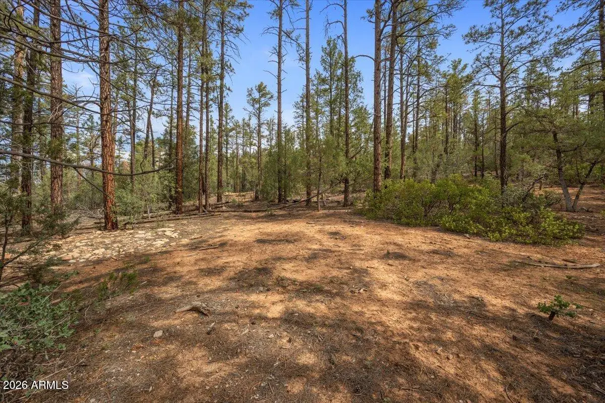 TBD Pine Needle Drive, Show Low, AZ 85901 - #1