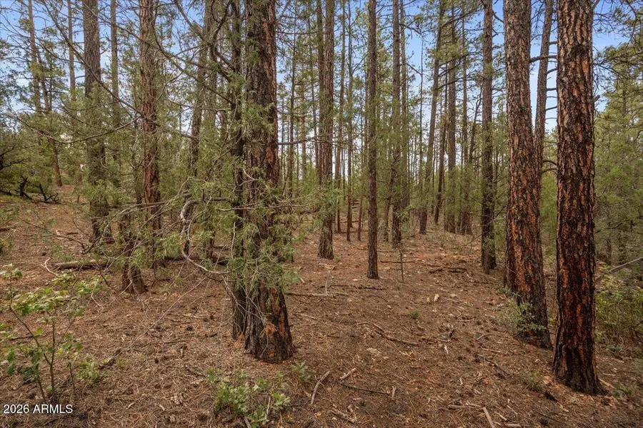 TBD Pine Needle Drive, Show Low, AZ 85901 - #2