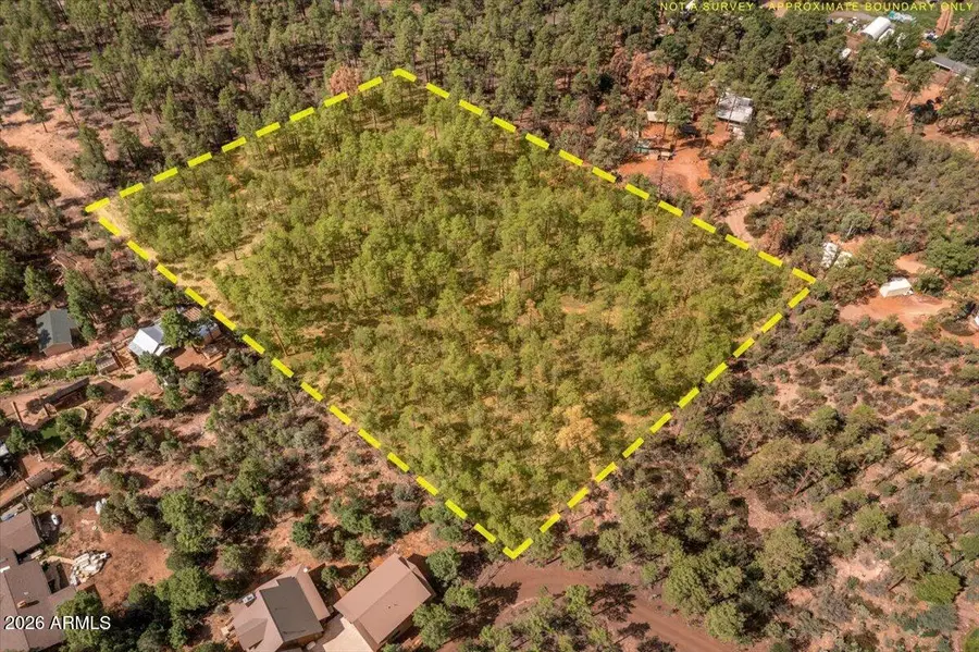 TBD Pine Needle Drive, Show Low, AZ 85901 - #3