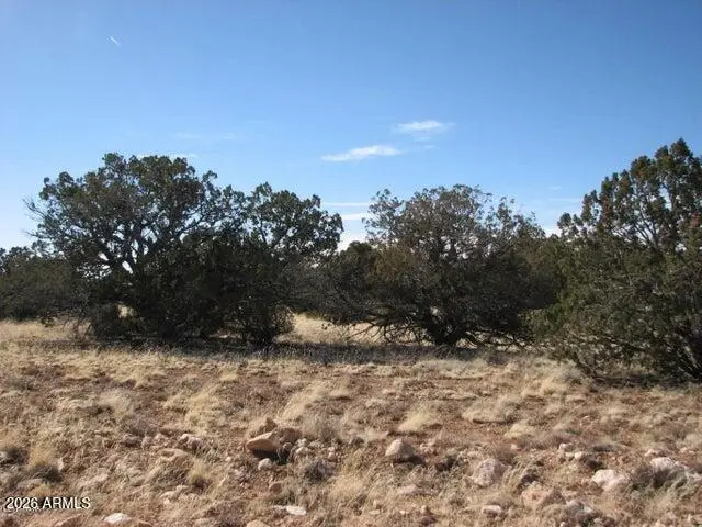 985 Ellsworth Drive #507, Heber, AZ 85928 - #2