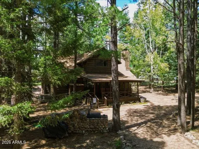 1640 Sheep Springs Road, Forest Lakes, AZ 85931 - #3