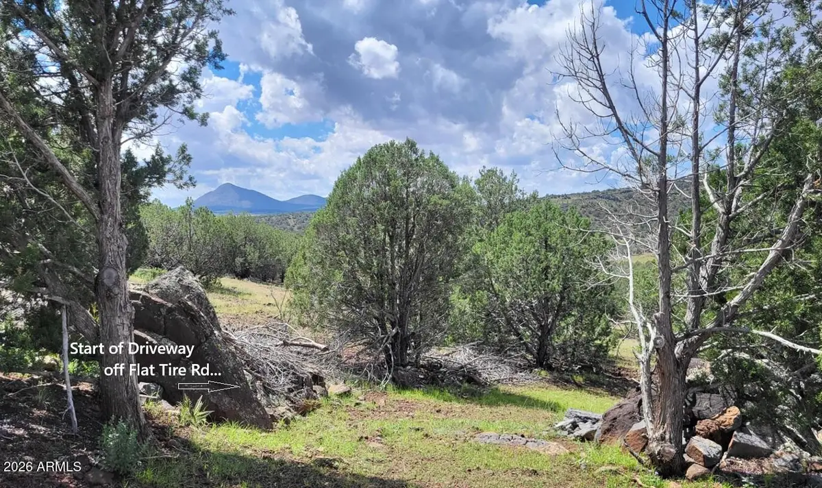 1017 S Flat Tire Road #1017, Williams, AZ 86046 - #1