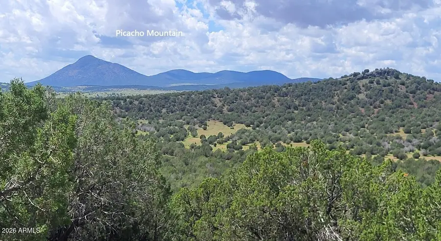 1017 S Flat Tire Road #1017, Williams, AZ 86046 - #2