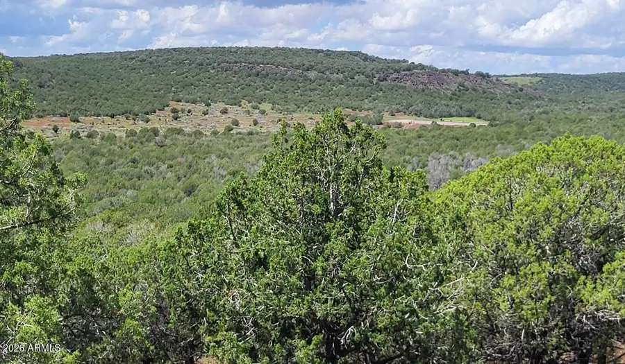 1017 S Flat Tire Road #1017, Williams, AZ 86046 - #3