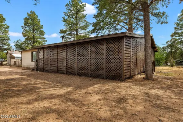 3520 Buckskin Road, Overgaard, AZ 85933