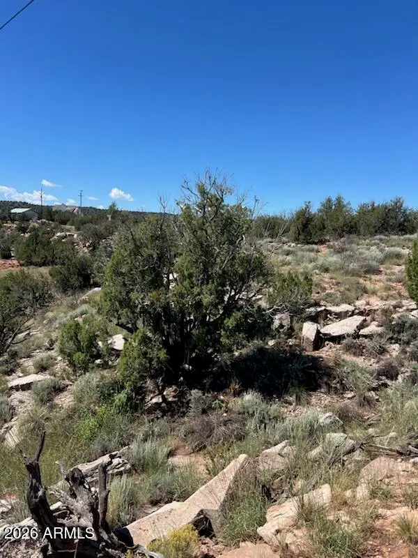 2682 Old School House Road, Show Low, AZ 85901 - #2