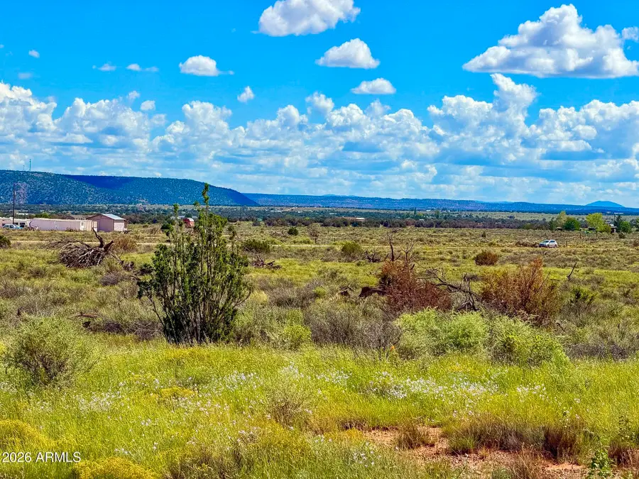 0 Hay Hollow Rd 20 Acres --, Snowflake, AZ 85937 - #3