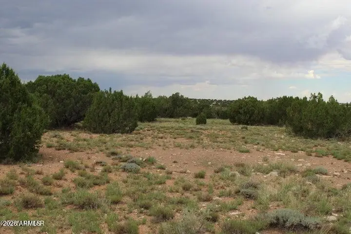 5705 Lindsey Lane #83, Heber, AZ 85928 - #3