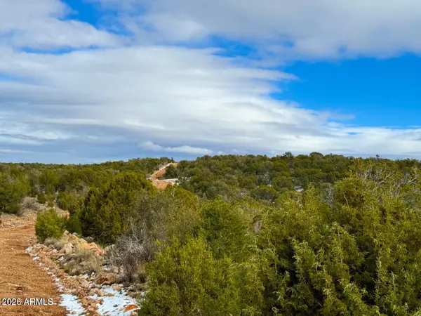 0 W Elkhorn Pass 36 Acres --, Seligman, AZ 86337