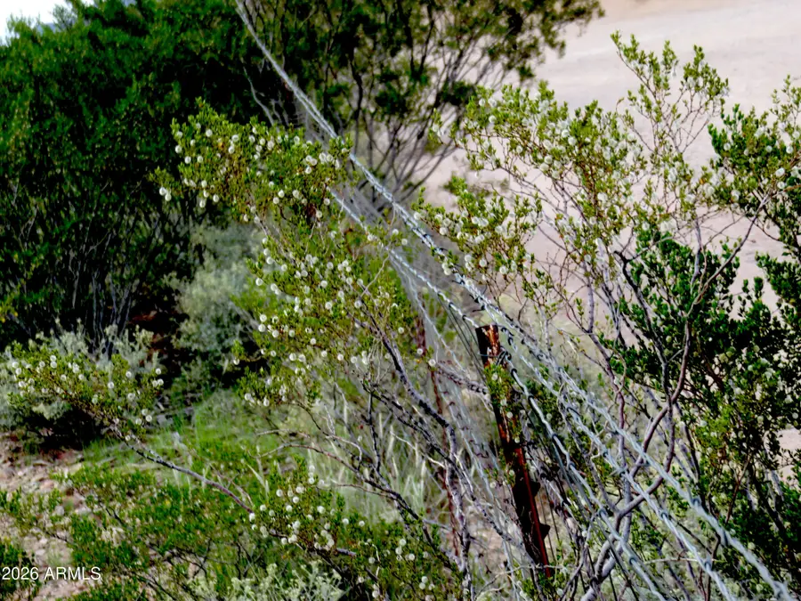 LOT C TBD S Foudy Road #P/C, Bisbee, AZ 85603 - #3