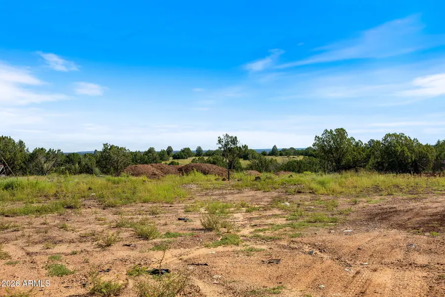 8796 Luana Drive #122, Show Low, AZ 85901 - #3