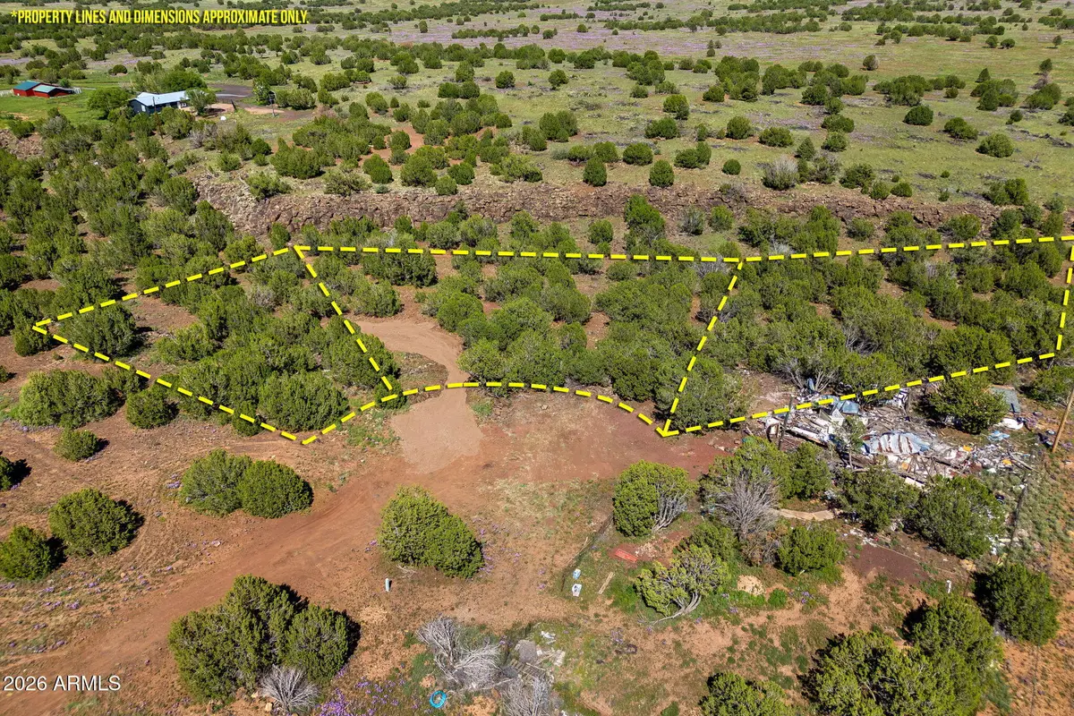 8788 Andrea Place #105, Show Low, AZ 85901 - #1