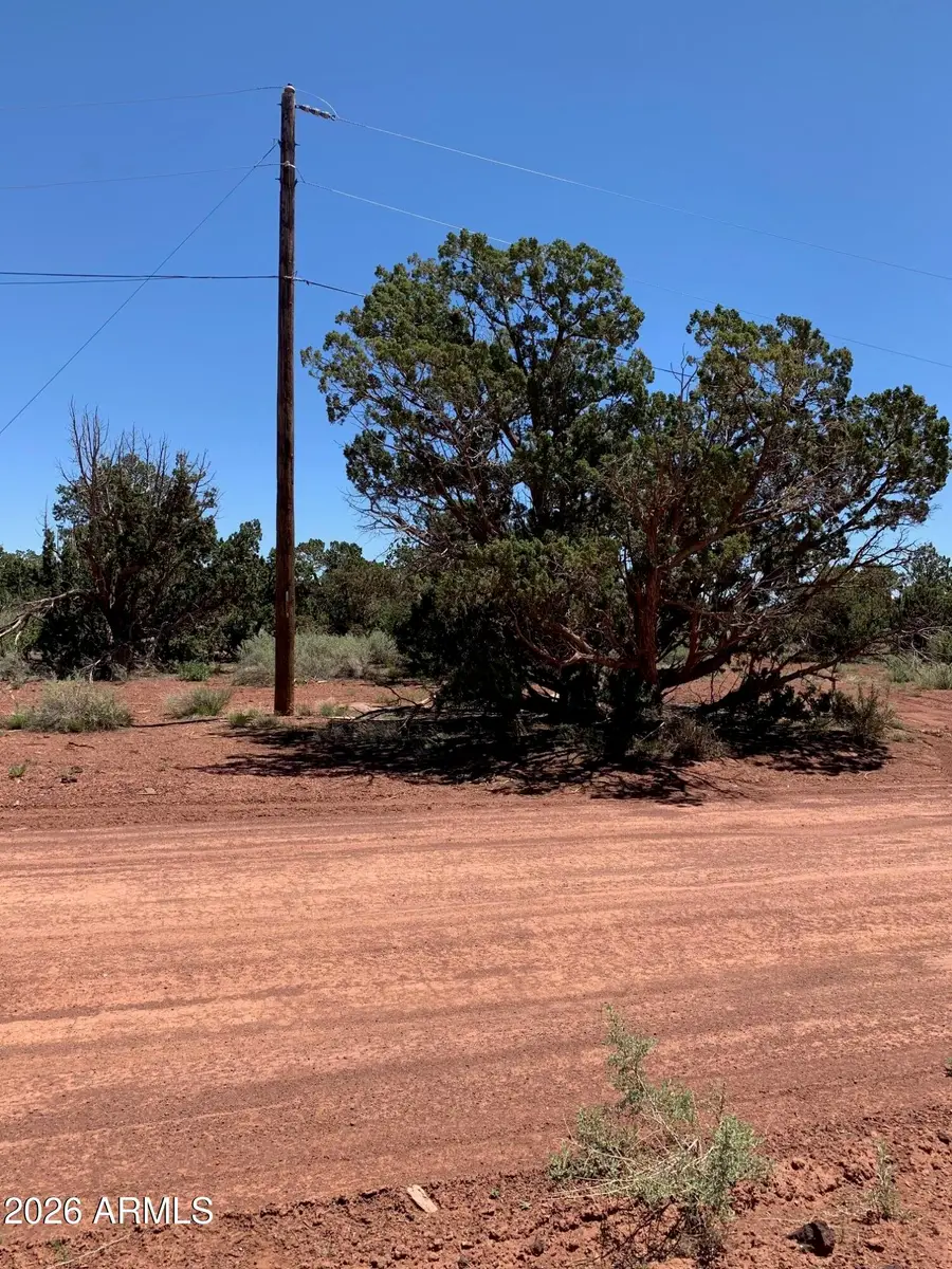 131 Walnut Road, Williams, AZ 86046 - #3