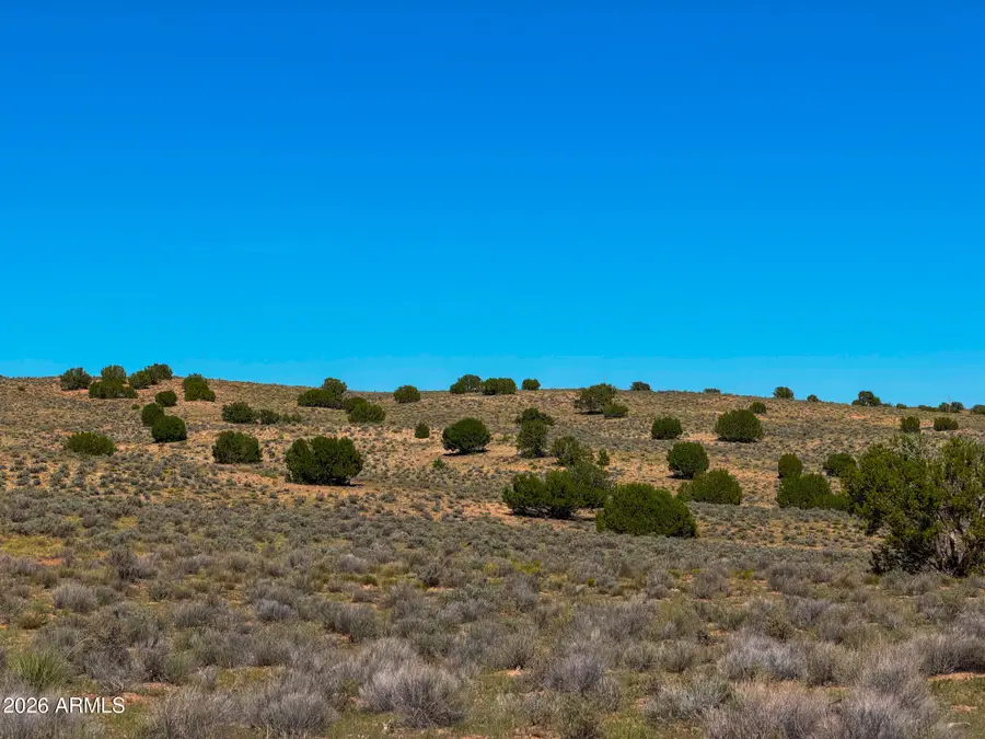TBD County Rd. N7009 --, Chambers, AZ 86502 - #2