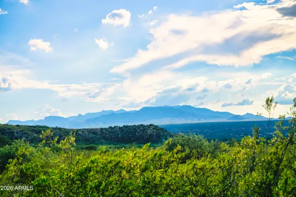 Lot 8 E Taylor Pass #08, Saint David, AZ 85630