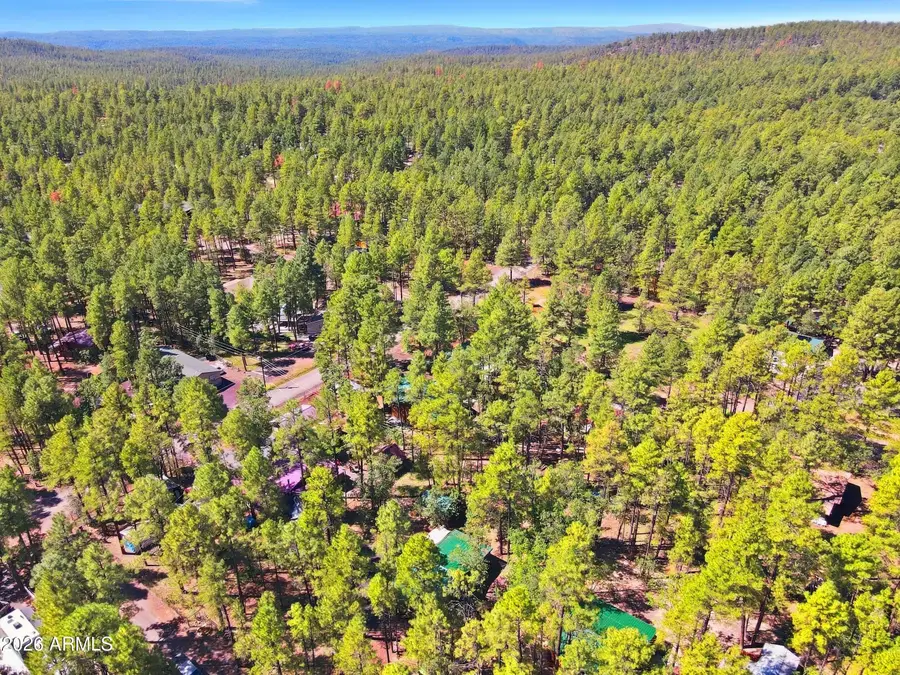 484 Lilly Drive, Lakeside, AZ 85929 - #3