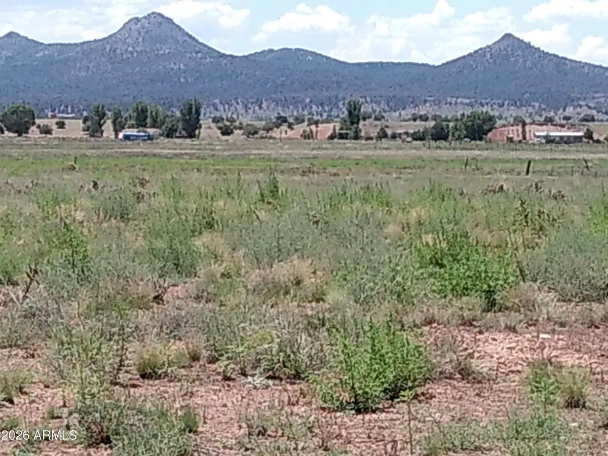 26250 N Champagne Lane, Paulden, AZ 86334 - #1