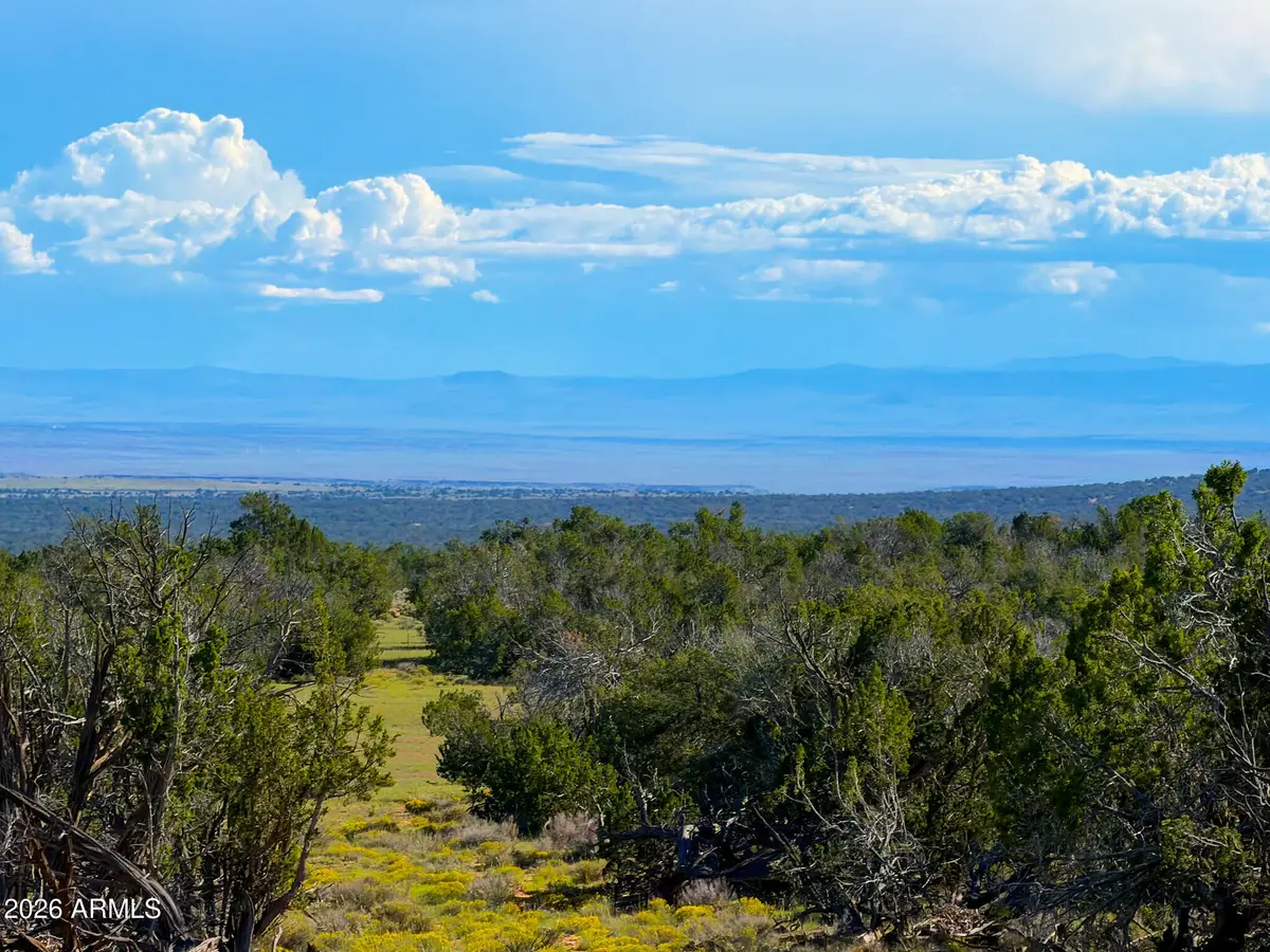 TBD Co Rd N7480 40 Acres --, Saint Johns, AZ 85936 - #1