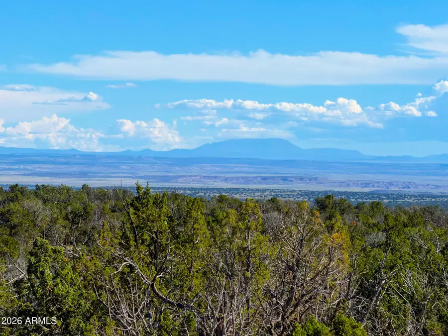 TBD Co Rd N7480 40 Acres --, Saint Johns, AZ 85936 - #3