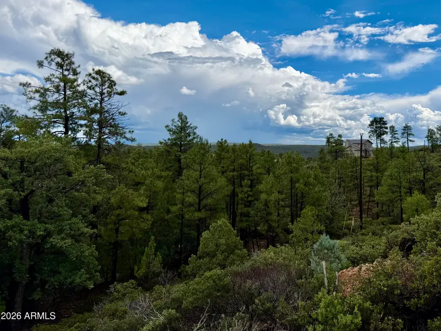 6292 Fawn Lane, Show Low, AZ 85901 - #3