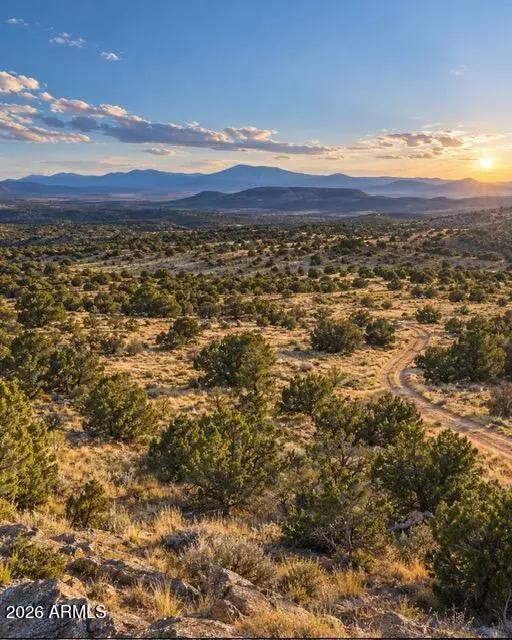 0 N Relax Road #494, Seligman, AZ 86337 - #1