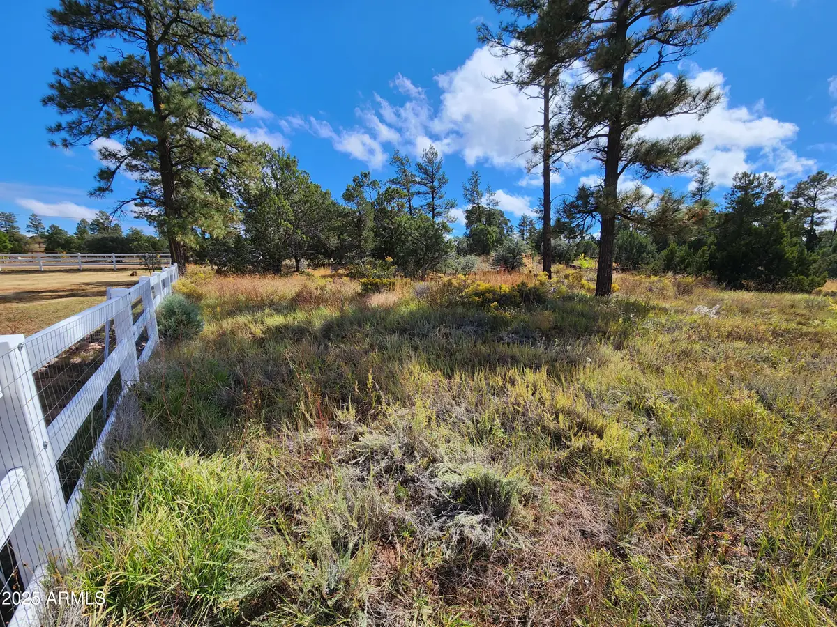 6662 State Route 260 --, Show Low, AZ 85901 - #1